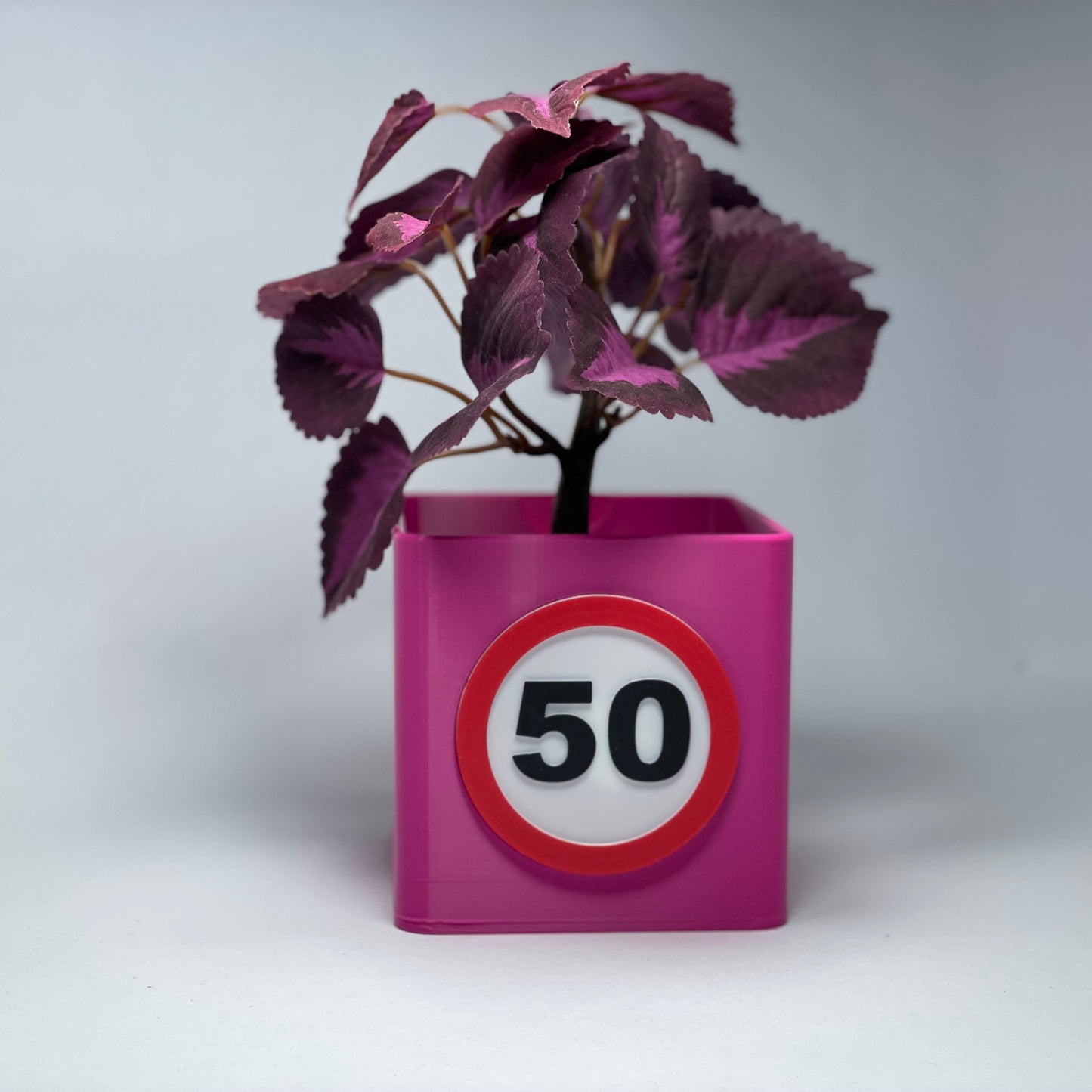 Exklusive 3D-gedruckte Vase für den 50. Geburtstag mit Jahreszahl – Diese Vase aus PLA ist das ideale Geschenk für ein besonderes Jubiläum. Mit Kartenschlitz für persönliche Nachrichten oder Gutscheine, nachhaltig und stilvoll. #50Jubiläum #Geburtstagsgeschenk.