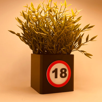 Moderne 3D-Vase mit der Jahreszahl 18 zum Geburtstag – Gefertigt aus umweltfreundlichem PLA, mit Kartenschlitz für Gutscheine oder Grußkarten. Perfekte Deko und Geschenkidee für den 18. Geburtstag. Ein einzigartiges, nachhaltiges Highlight. #18Jahre #PLA.