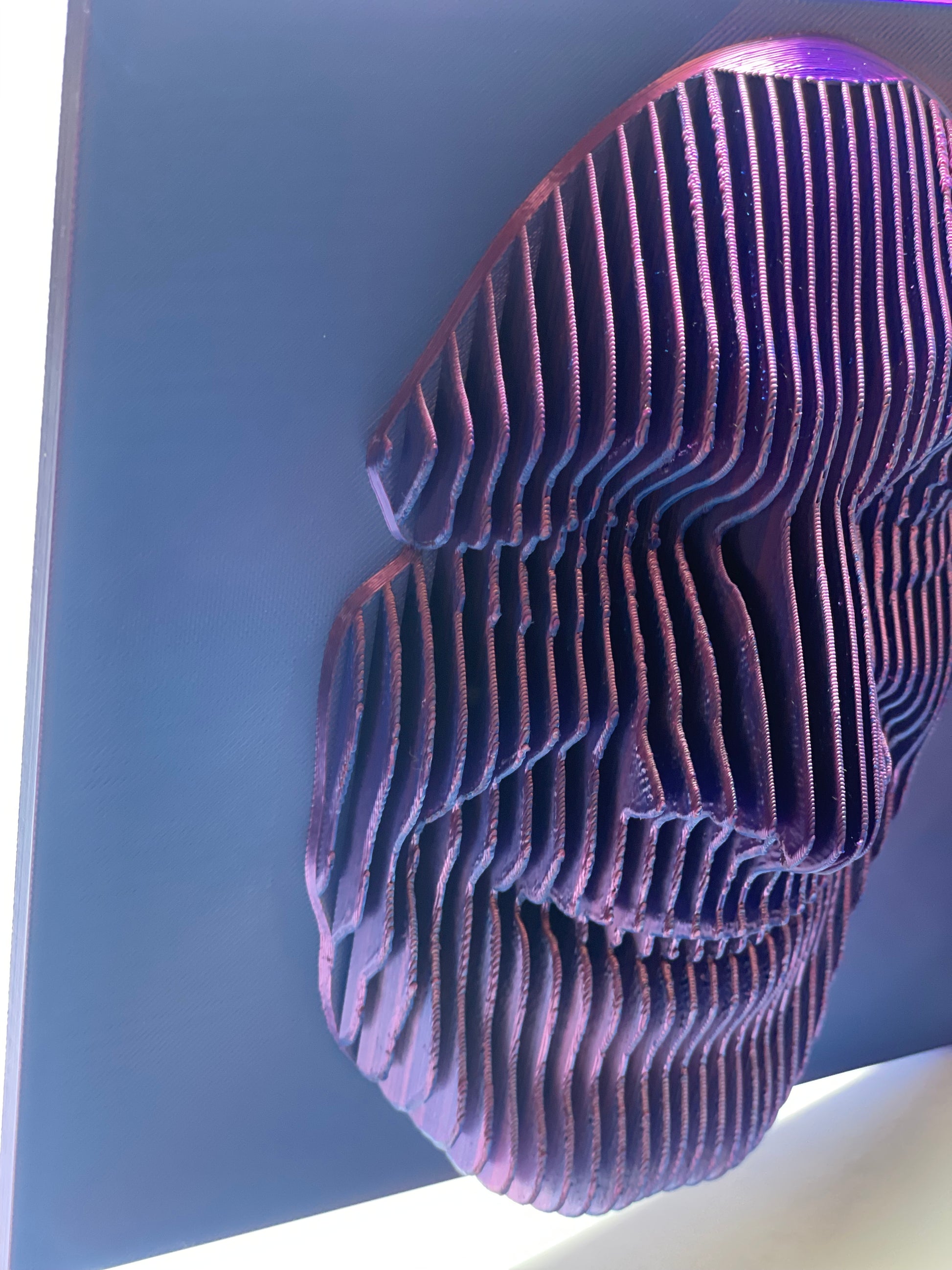Individuelles 3D-Portrait – Dein Gesicht als plastischer 3D-Druck, individuell nach Foto erstellt! Dieses einzigartige Relief entsteht durch einen Schicht-für-Schicht-Druckprozess und bildet deine Gesichtszüge realistisch ab. Perfekt als Geschenk für besondere Anlässe wie Geburtstage, Jubiläen oder Hochzeiten. Hergestellt aus nachhaltigem PLA, ist es eine stilvolle Wanddeko mit persönlicher Note.