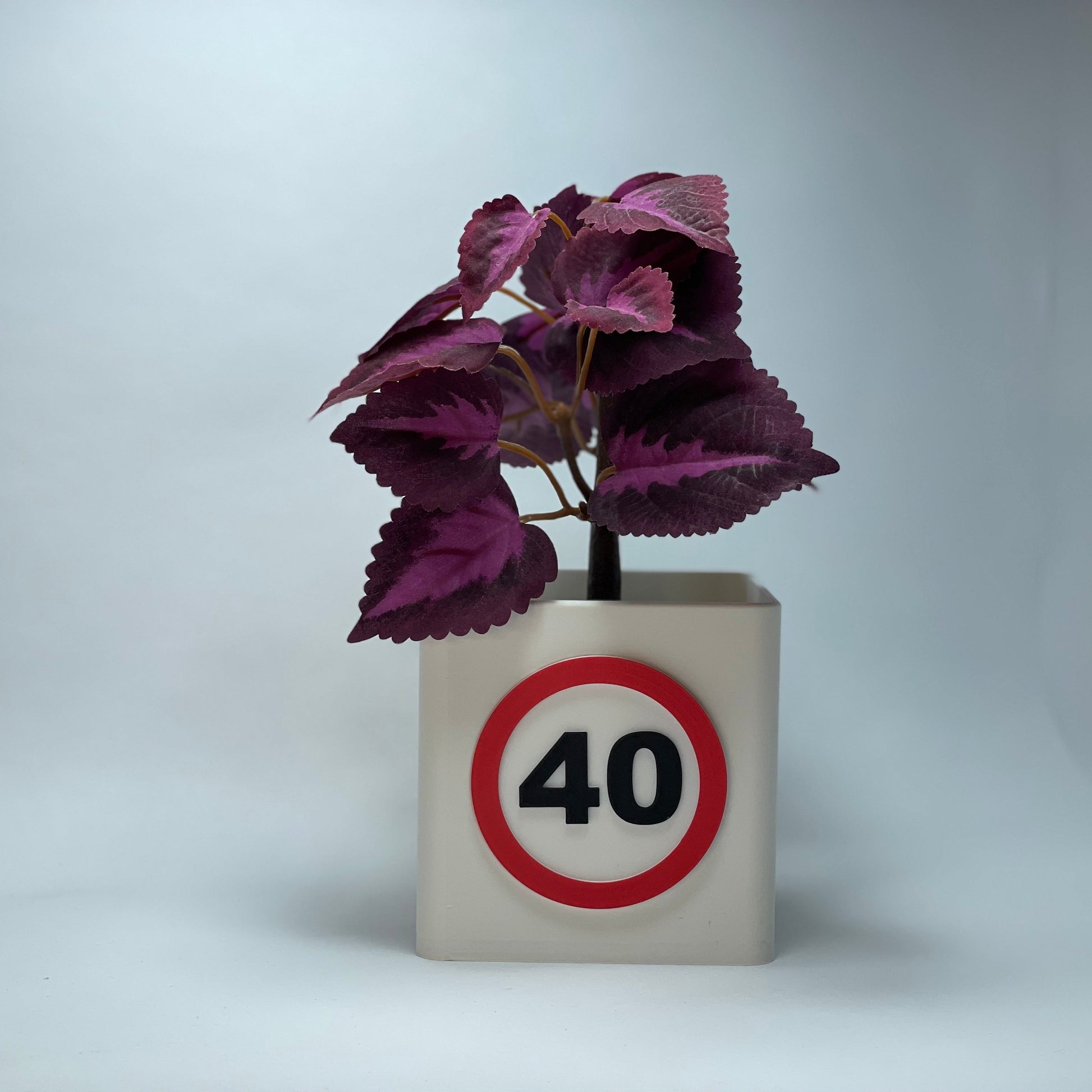 Personalisierte 3D-gedruckte Vase zum 40. Geburtstag mit großer Jahreszahl – perfekt als Geschenk oder Deko. Hergestellt aus umweltfreundlichem PLA, mit integriertem Kartenschlitz für Gutscheine. Ein einzigartiges und nachhaltiges Geschenk. #40Geburtstag #Geschenkidee #PLA.