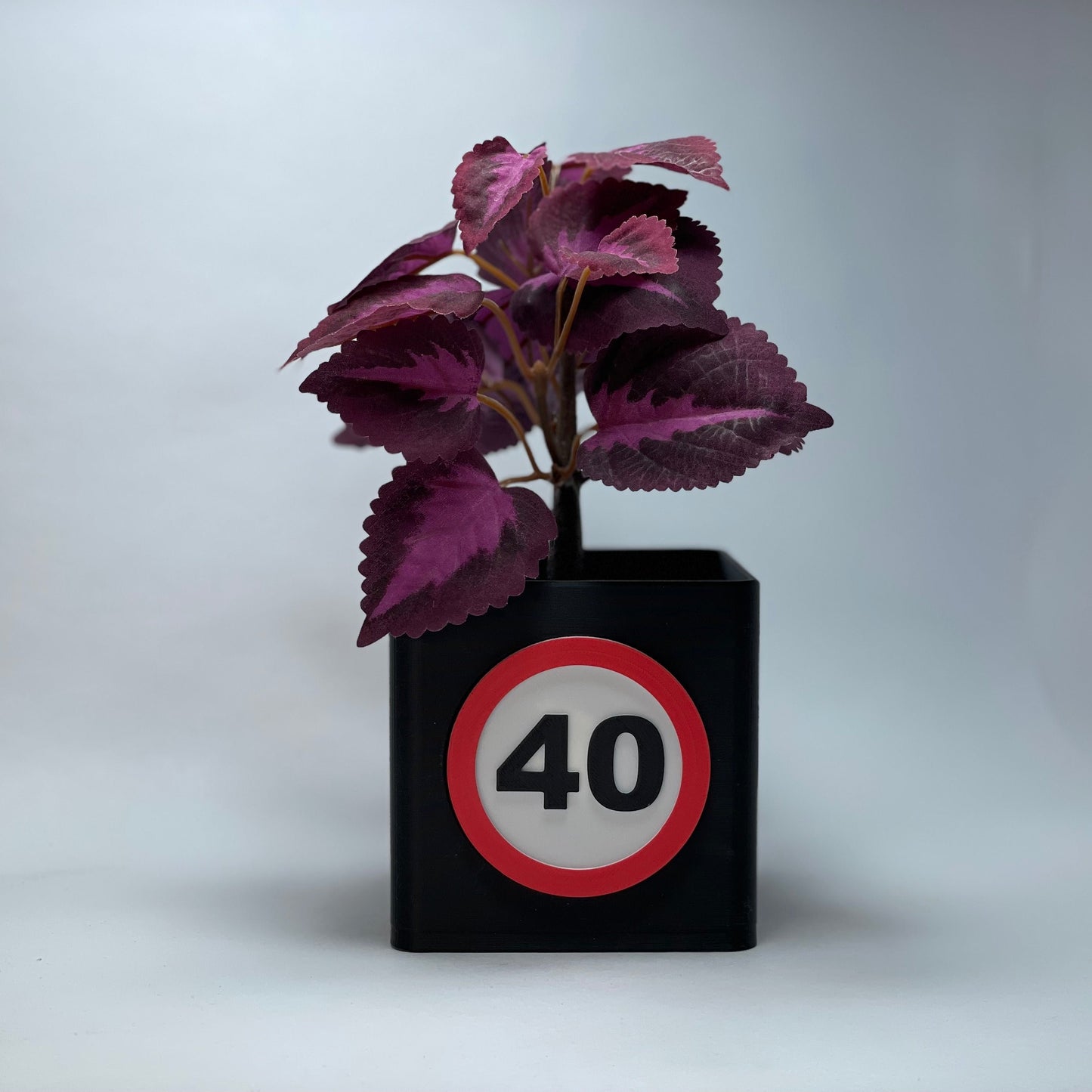 Umweltfreundliche 3D-gedruckte Vase zum 40. Geburtstag mit Zahl und Gutscheinschlitz – hergestellt aus nachhaltigem PLA. Perfektes persönliches Geschenk für Frauen und Männer, die 40 Jahre feiern. #Jubiläumsgeschenk #Nachhaltig #40Jahre.