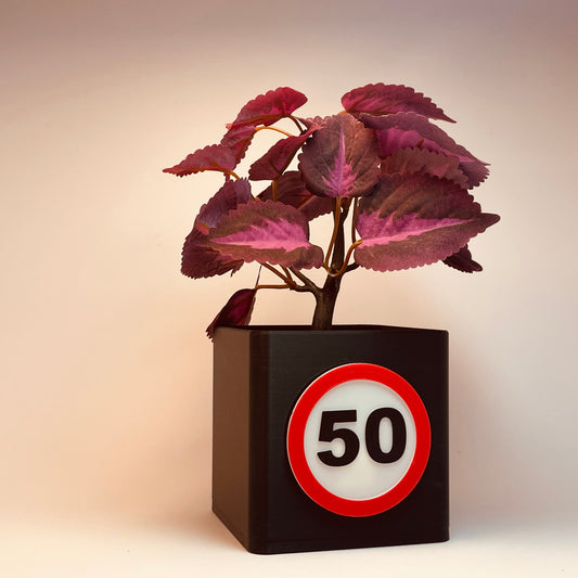 3D-gedruckte Vase mit Zahl 50 für den runden Geburtstag – Nachhaltige Vase aus umweltfreundlichem PLA, ideal als stilvolle Deko oder Geschenkidee für den 50. Geburtstag. Integrierter Schlitz für Gutscheine oder Grußkarten. #50Geburtstag #PLA #Geschenkideen.