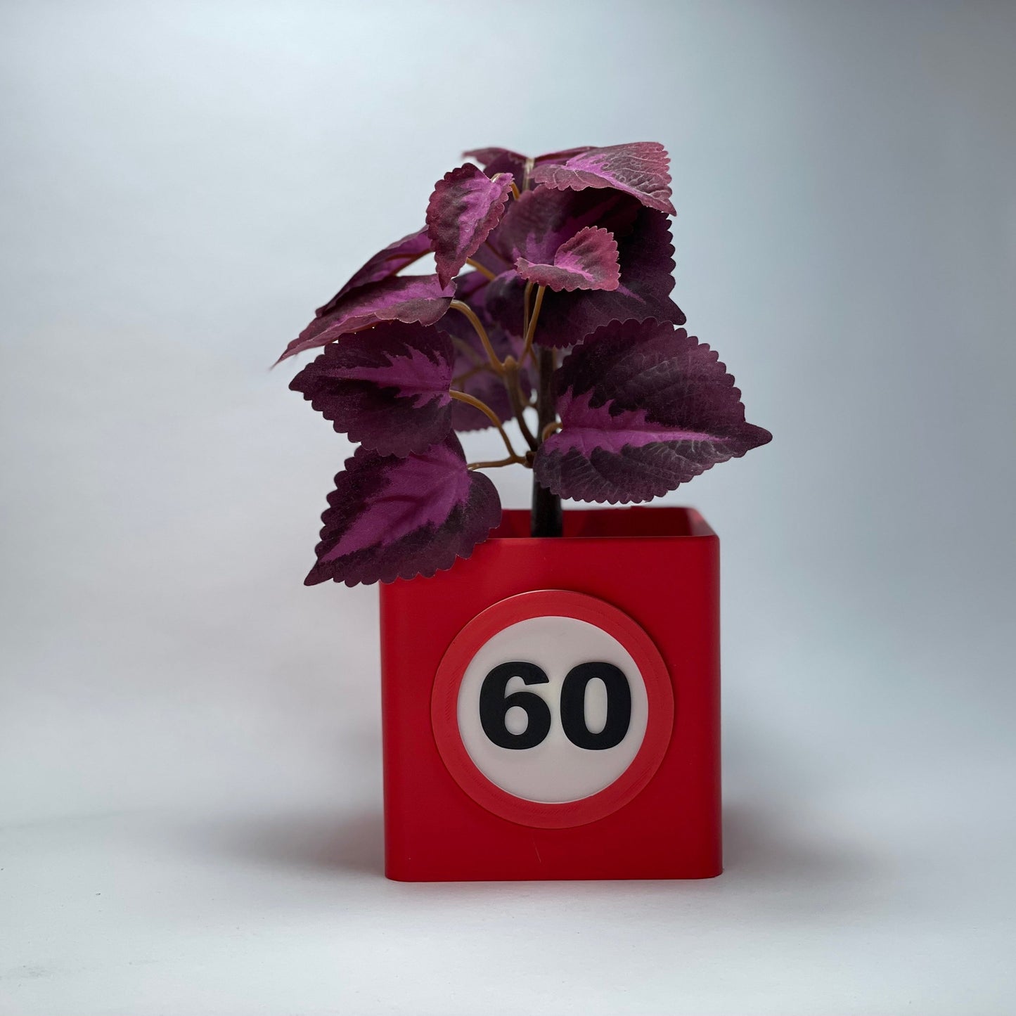 Stilvolle Vase zum 60. Geburtstag aus umweltfreundlichem PLA – personalisierbare Zahl und Schlitz für Gutscheine oder Karten. Einzigartig 3D-gedruckt, perfekt als Geschenk oder Dekoration. #PersonalisierteVase #Jubiläum #Geschenkideen.