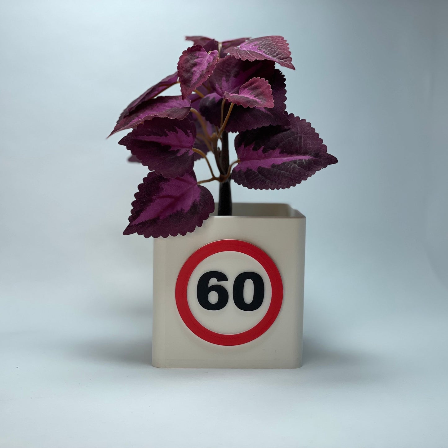 3D-gedruckte Jubiläums-Vase zum 60. Geburtstag mit großer Zahl – aus umweltfreundlichem PLA. Mit integriertem Schlitz für Grußkarten oder Gutscheine. Tolle Geschenkidee für runde Geburtstage. #60Jahre #NachhaltigeGeschenke #3DDruck.
