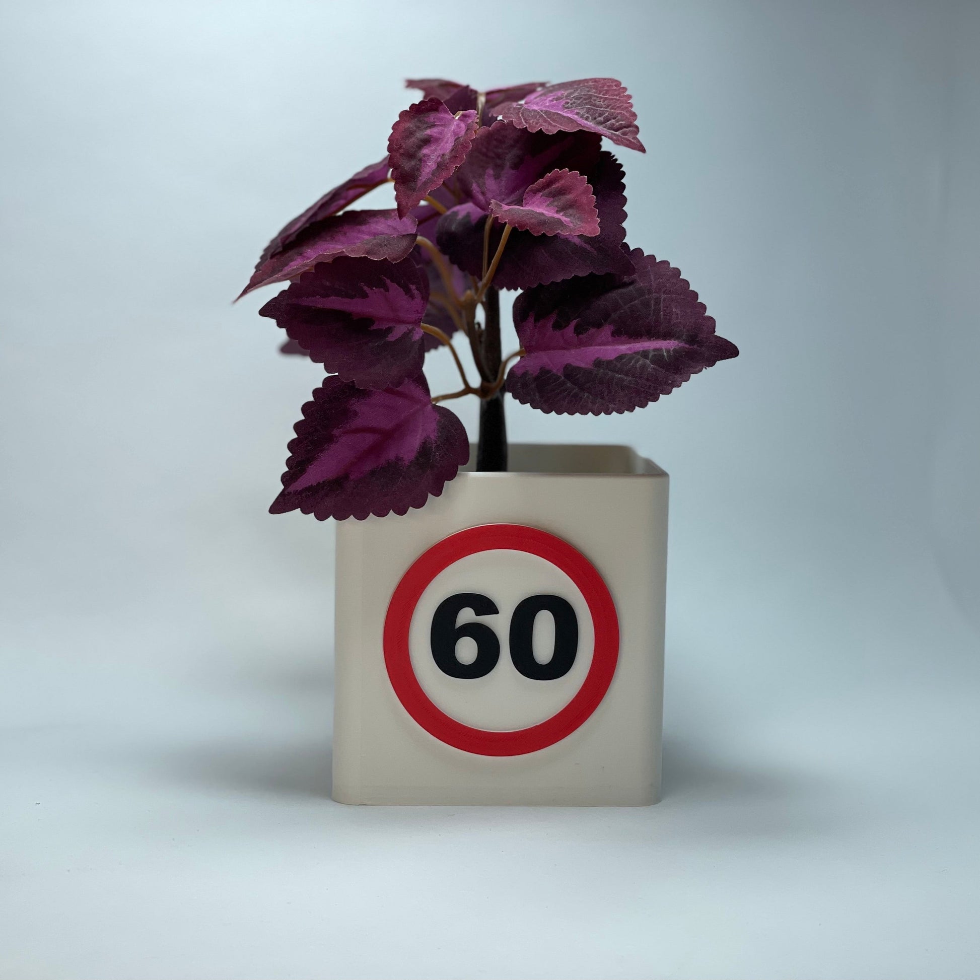 3D-gedruckte Jubiläums-Vase zum 60. Geburtstag mit großer Zahl – aus umweltfreundlichem PLA. Mit integriertem Schlitz für Grußkarten oder Gutscheine. Tolle Geschenkidee für runde Geburtstage. #60Jahre #NachhaltigeGeschenke #3DDruck.