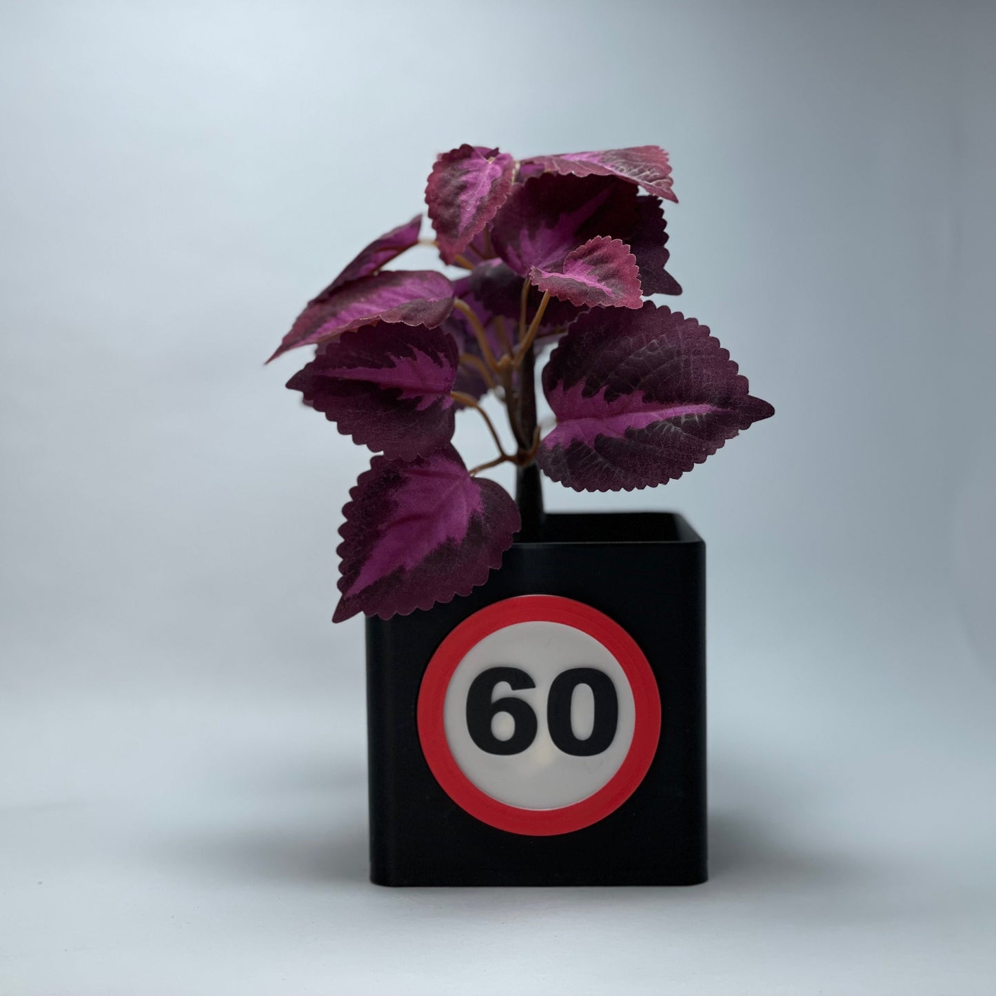 Umweltfreundliche Vase zum 60. Geburtstag mit personalisierter Zahl und Kartenschlitz – aus PLA, 3D-gedruckt. Ideal als Deko oder als individuelles Geschenk. Perfekt für jeden, der stilvoll 60 wird. #Jubiläumsgeschenk #PersonalisierteVase.