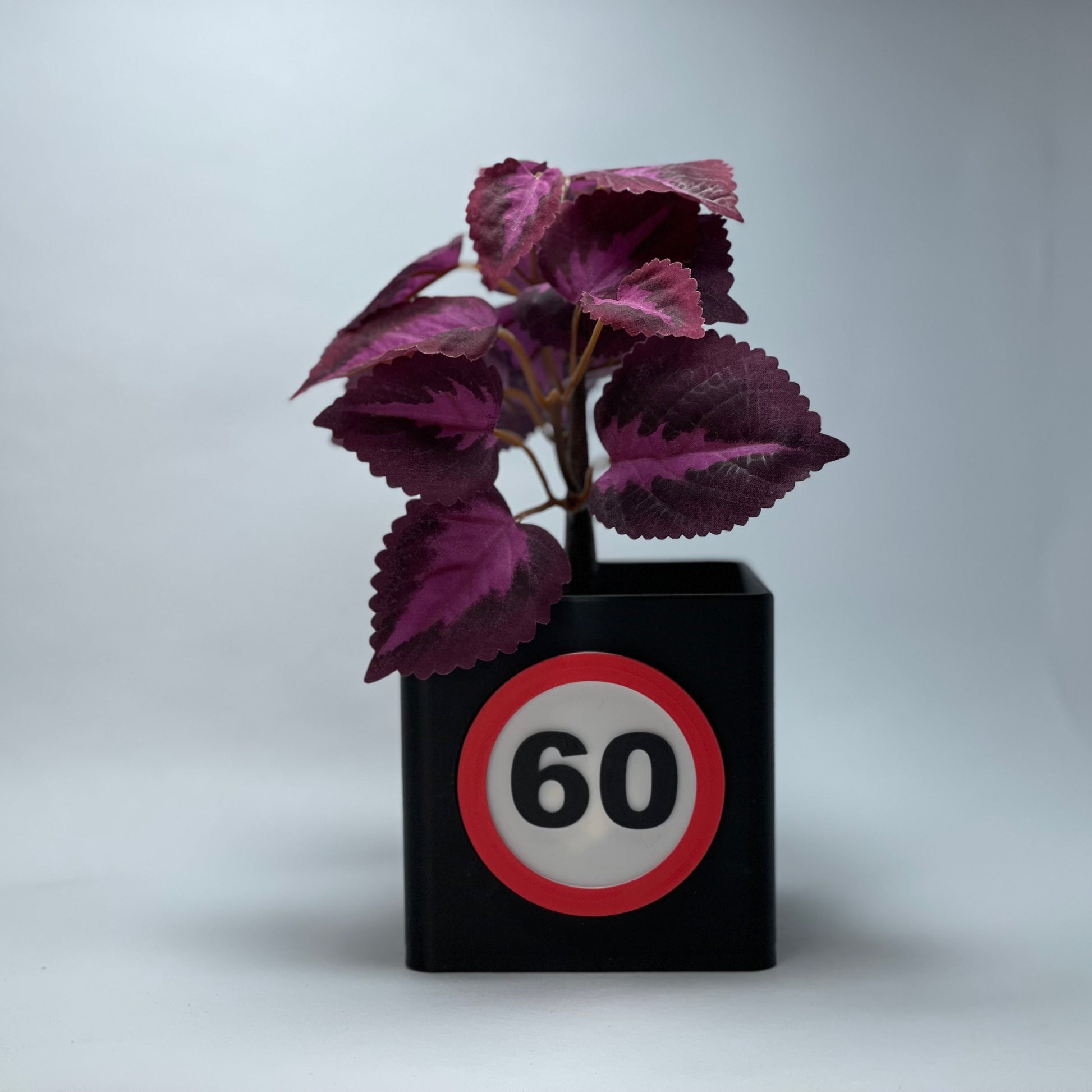 Umweltfreundliche Vase zum 60. Geburtstag mit personalisierter Zahl und Kartenschlitz – aus PLA, 3D-gedruckt. Ideal als Deko oder als individuelles Geschenk. Perfekt für jeden, der stilvoll 60 wird. #Jubiläumsgeschenk #PersonalisierteVase.