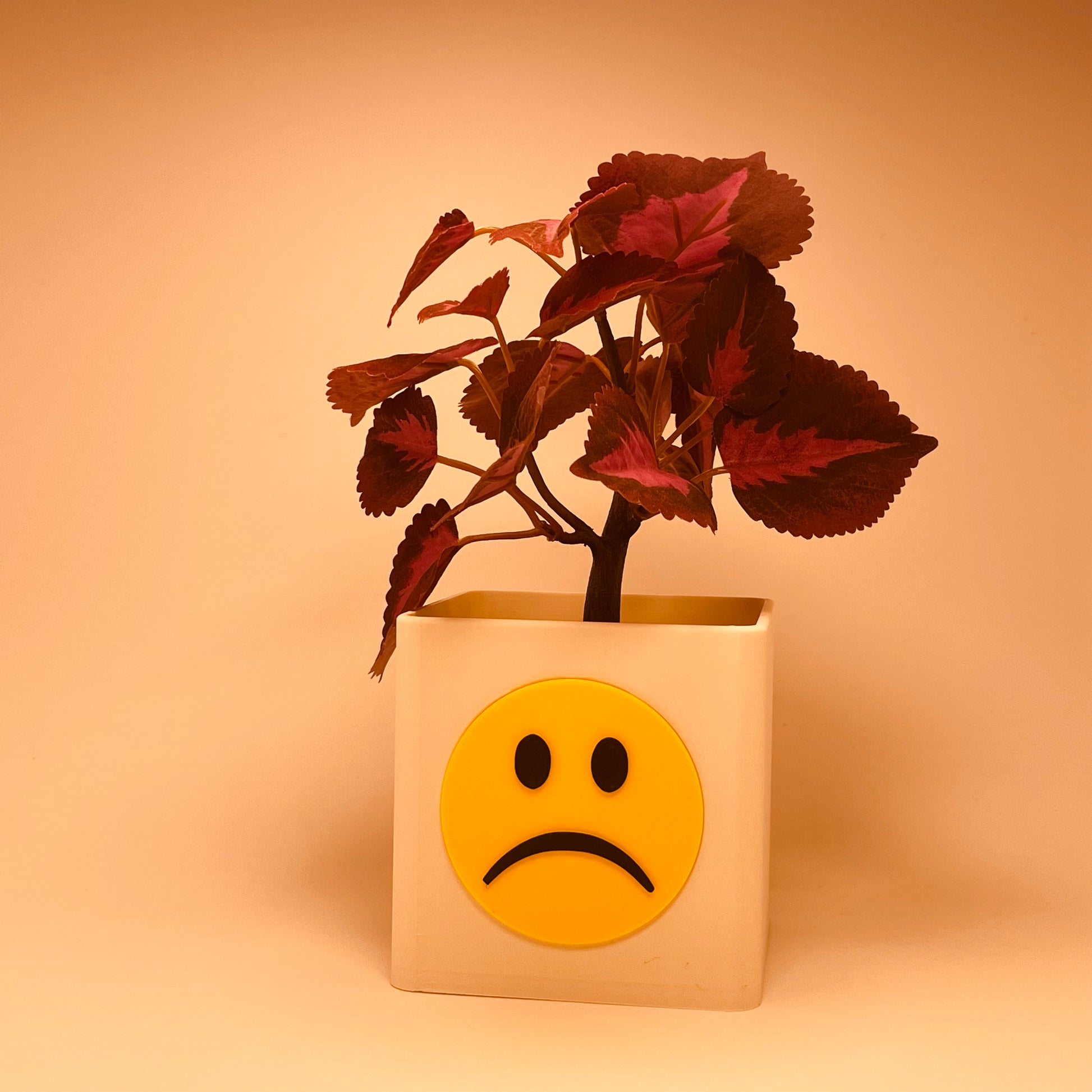 Personalisierte Vase mit Emotionen von KINIMOD3D, handgefertigt mit positivem und negativem Smiley. Diese einzigartige Geschenkidee zum Geburtstag ist ideal als emotionales und persönliches Geburtstagsgeschenk für deine Freundin.