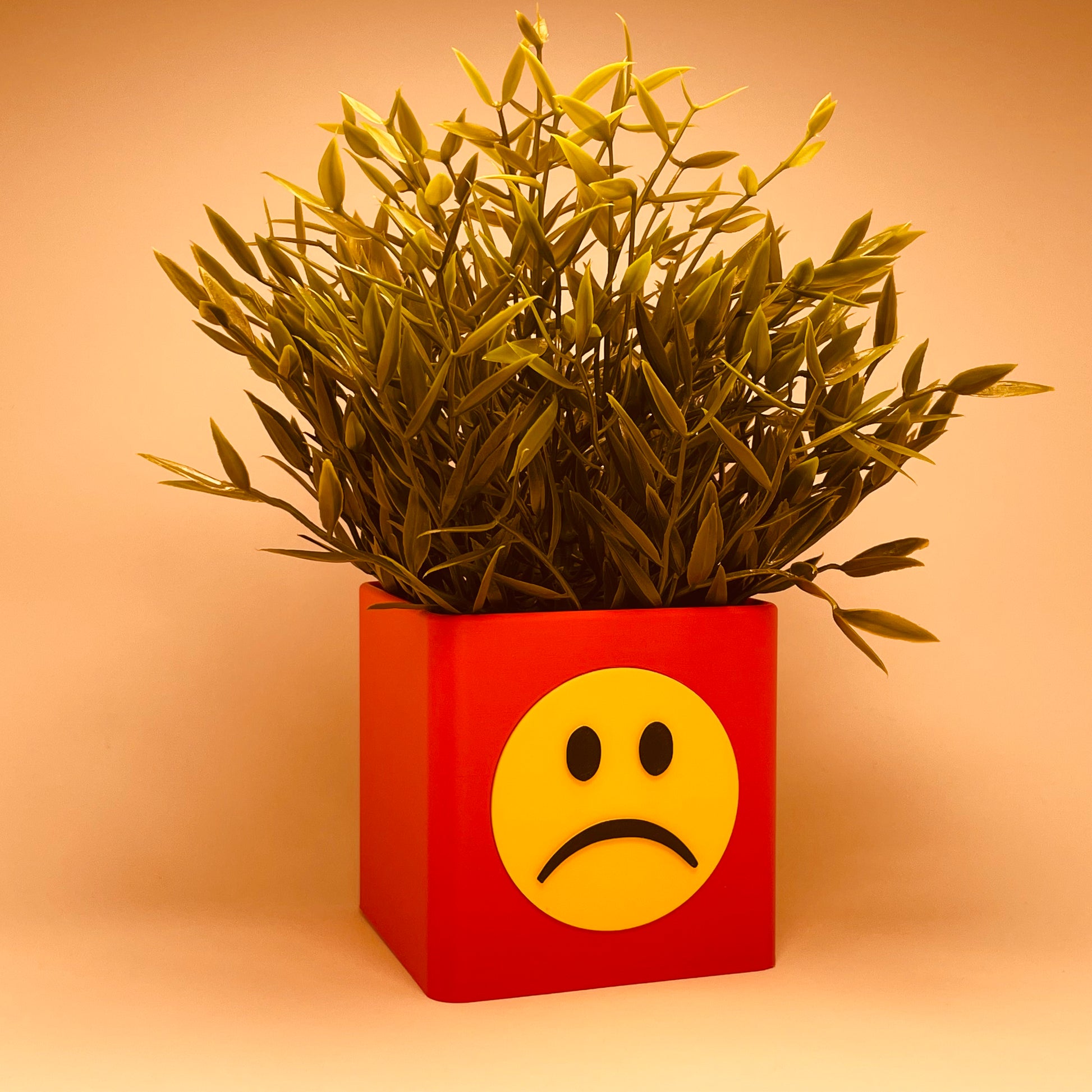 Geburtstagsgeschenk mit Persönlichkeit: Die KINIMOD3D Vase kombiniert positive und negative Smileys zu einer einzigartigen, emotionalen Geschenkidee zum Geburtstag. Perfekt personalisiert für deine Freundin, ein echtes Highlight!