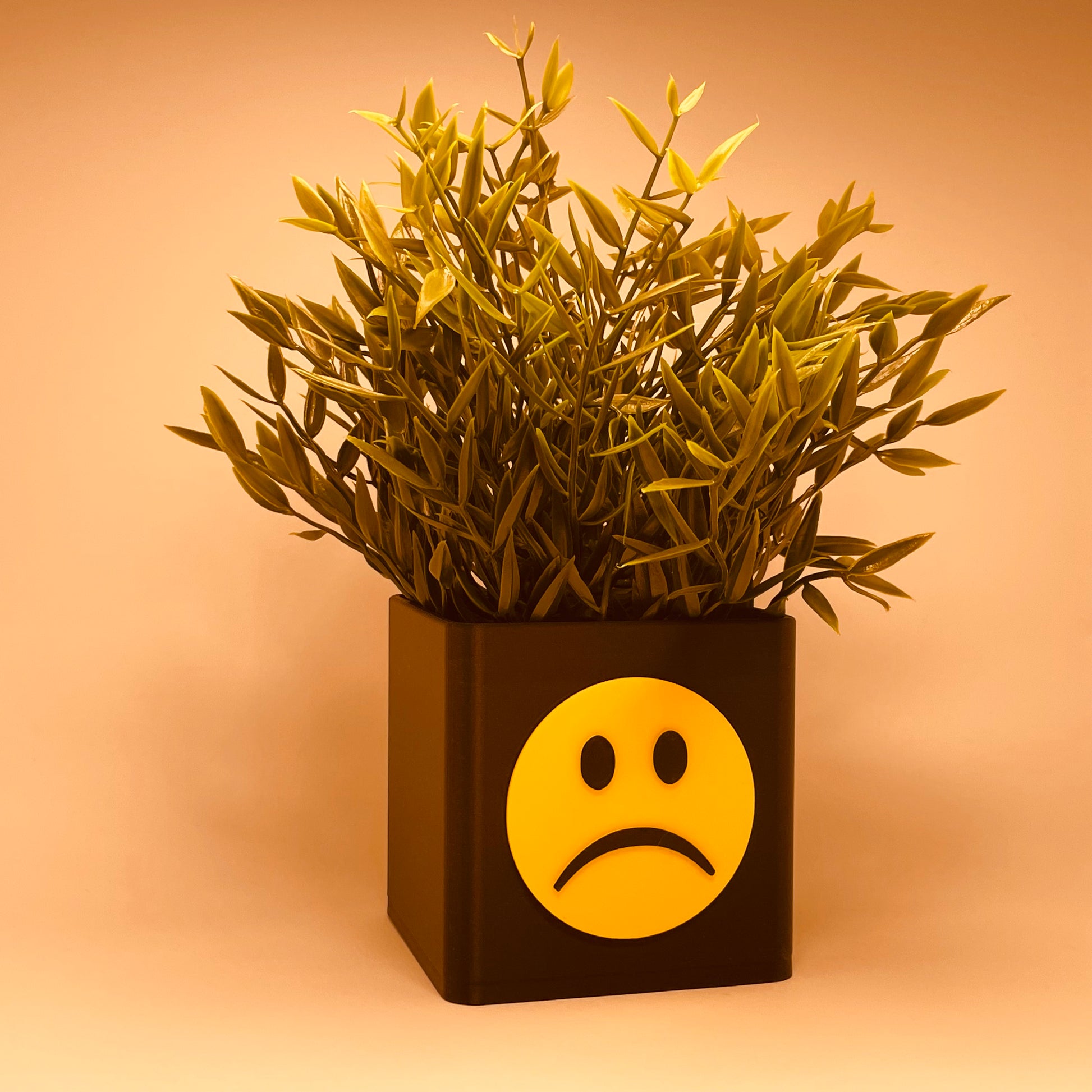 Die personalisierte Vase von KINIMOD3D begeistert mit positivem und negativem Smiley – eine kreative Geschenkidee zum Geburtstag. Perfekt als Geburtstagsgeschenk für deine Freundin und als Highlight jeder Einrichtung.