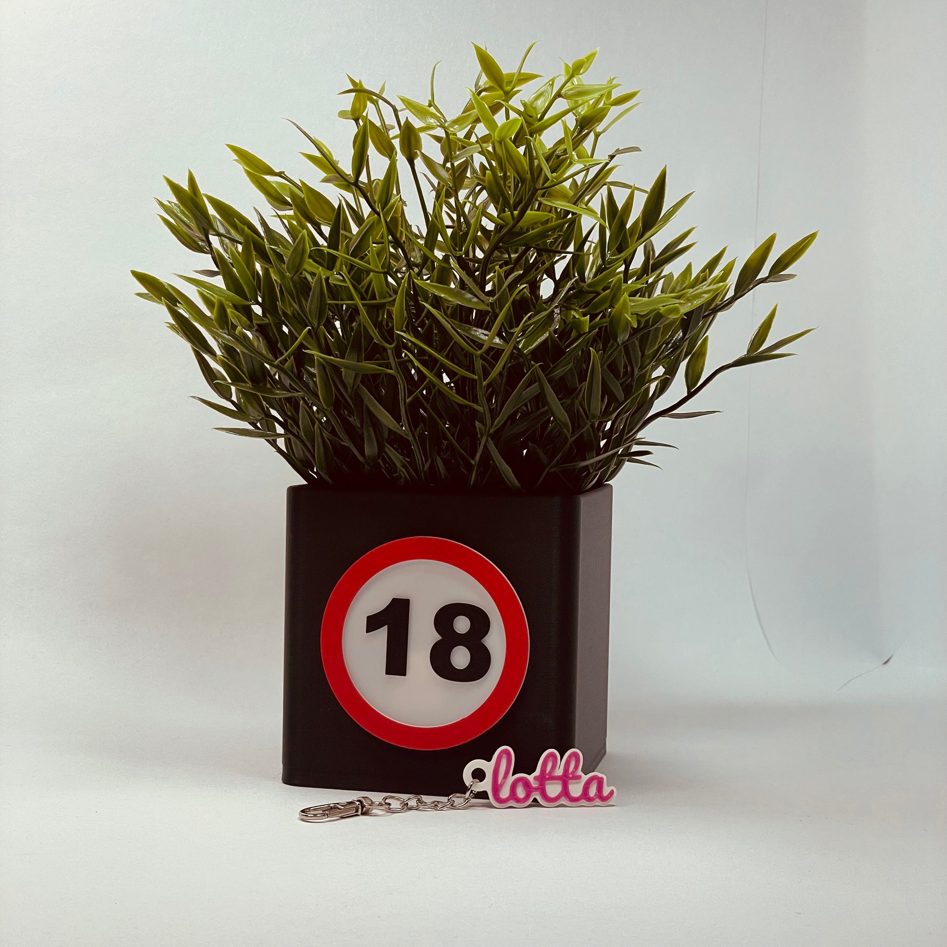 Personalisierte 3D-gedruckte Vase mit der Zahl 18 zum Geburtstag – Hergestellt aus umweltfreundlichem PLA, mit Kartenschlitz für Gutscheine oder Grußkarten. Perfekte Dekoration oder Geschenkidee für einen unvergesslichen 18. Geburtstag. #18Geburtstag #3DDruck.