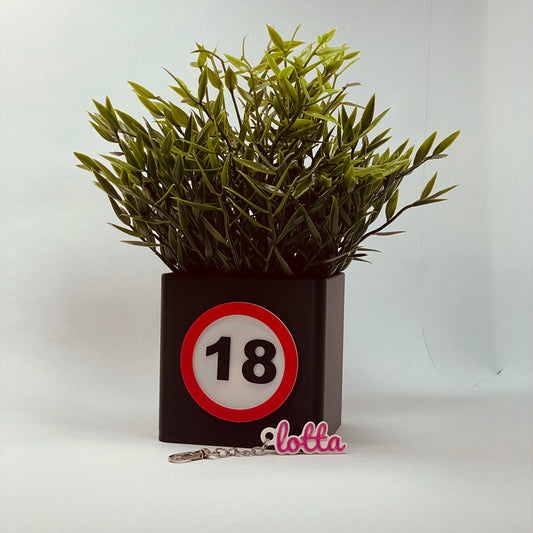 Personalisierte 3D-gedruckte Vase mit der Zahl 18 zum Geburtstag – Hergestellt aus umweltfreundlichem PLA, mit Kartenschlitz für Gutscheine oder Grußkarten. Perfekte Dekoration oder Geschenkidee für einen unvergesslichen 18. Geburtstag. #18Geburtstag #3DDruck.