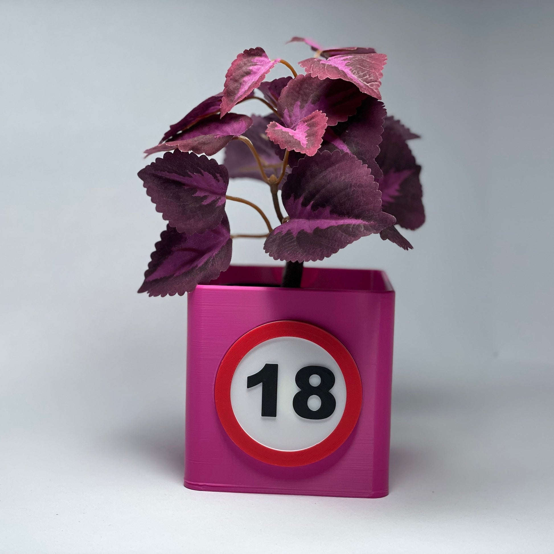 Moderne Pinke 3D-Vase mit der Jahreszahl 18 zum Geburtstag – Gefertigt aus umweltfreundlichem PLA, mit Kartenschlitz für Gutscheine oder Grußkarten. Perfekte Deko und Geschenkidee für den 18. Geburtstag. Ein einzigartiges, nachhaltiges Highlight. #18Jahre #Pink.